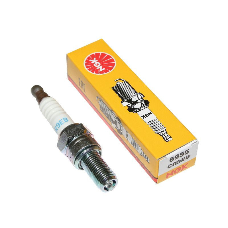 NGK CR9EB spark plug