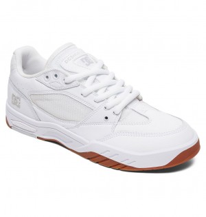 Scarpe DC Shoes Maswell White Gum