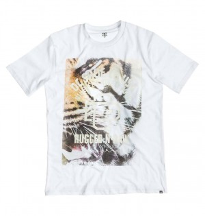 T-shirt DC Tiger White - Bianco